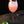 Load image into Gallery viewer, PINK GIN